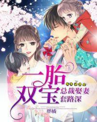 一胎双宝总裁娶妻套路深txt奇书网