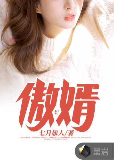 傲婿当道岳风