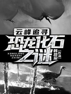 杨蕾 超女